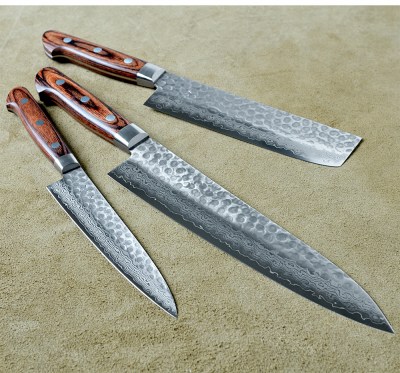 Sujihiki_512b81934333c.jpg